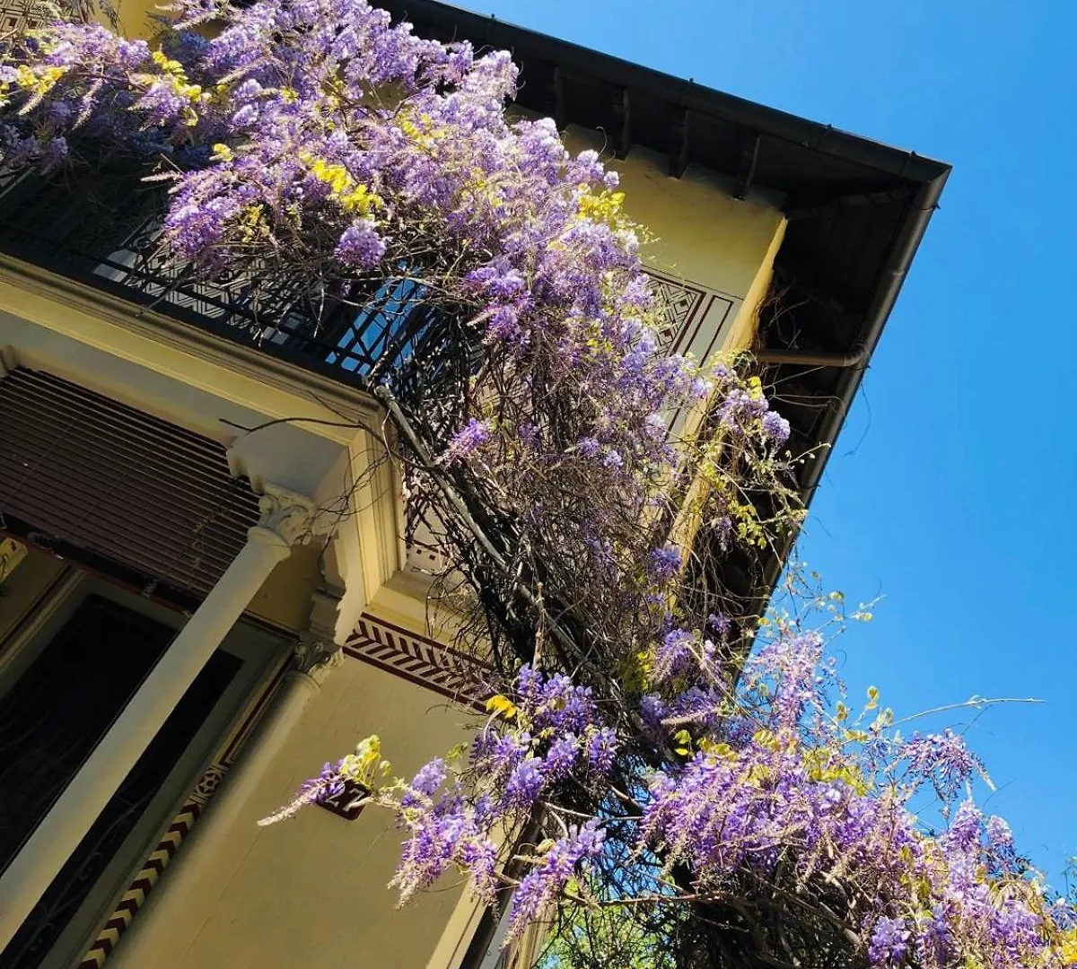 Apartment Bilocale Chic In Tropical Villa A Due Passi Da Stazione Centrale Milan Italy