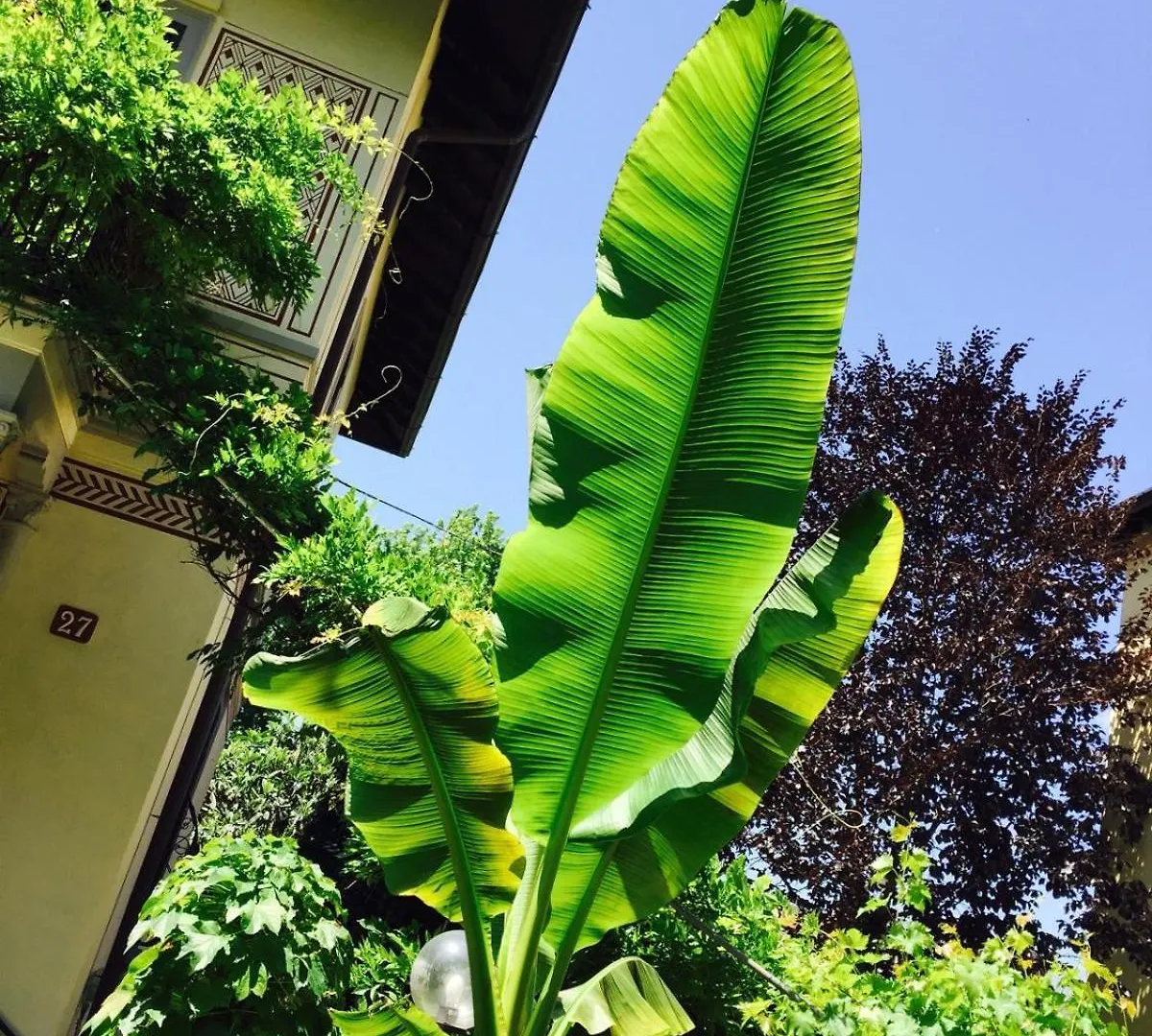 Bilocale Chic In Tropical Villa A Due Passi Da Stazione Centrale Milan
